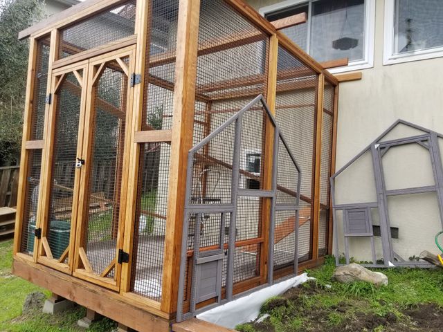 Catio shelves 2025